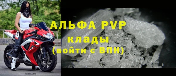 спиды Инта